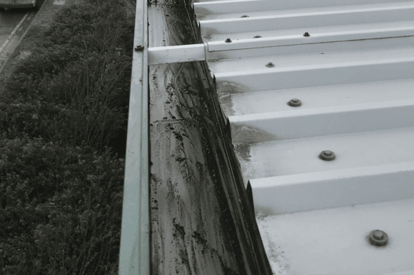 Commercial gutter cleaning specialists in Windsor